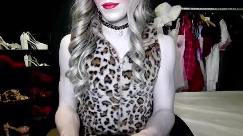 Amalie online show from November 2025 04:01:02 PM