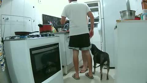 amantesdnoite online show from November 2025 06:56:02 PM