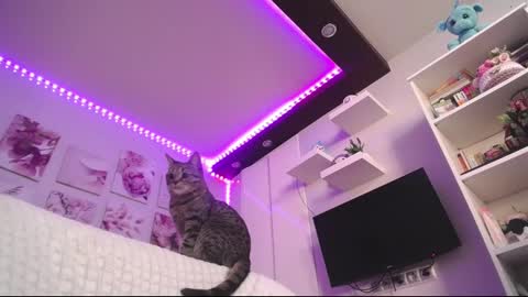 amazing_agness online show from February 2025 07:00:02 AM