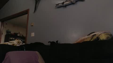 ambers666999 online show from October 2025 02:19:01 AM