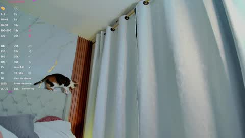 Snapshot of amelie_leigh chatting on February 2025 07:37:02 AM Alejandra online show from February 2025 07:37:02 AM