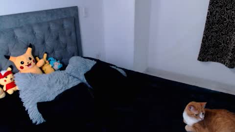 diana online show from April 2026 12:00:01 AM