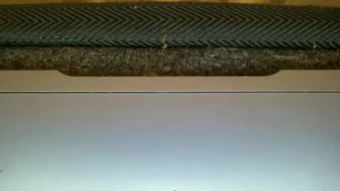 Snapshot of amormio69 chatting on February 2026 10:59:01 PM 23cm4you online show from February 2026 10:59:01 PM