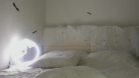 amy1_1 online show from October 2025 01:39:01 AM