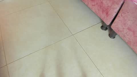 amy__rose__ online show from May 2026 03:02:02 AM