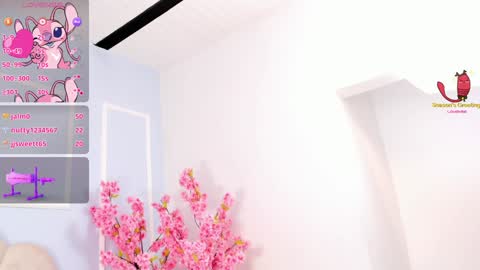 Amykord online show from January 2025 02:47:01 AM