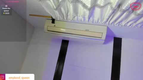 Amykord online show from September 2025 11:33:01 AM