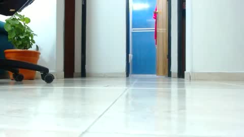 anaids online show from January 2025 04:18:02 AM