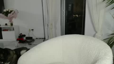 Snapshot of anakalistasia chatting on January 2025 12:31:02 AM anakalistasia online show from January 2025 12:31:02 AM