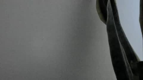 Snapshot of anapakerman chatting on February 2025 01:50:02 AM Ana Pakerman online show from February 2025 01:50:02 AM