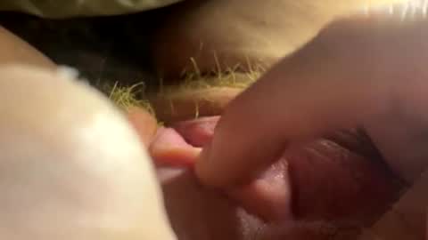 Snapshot of anastasiagirly chatting on February 2026 02:54:01 AM anastasia online show from February 2026 02:54:01 AM