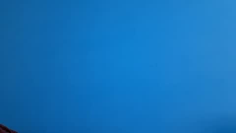 And 16.8 online show from November 2025 10:36:01 AM