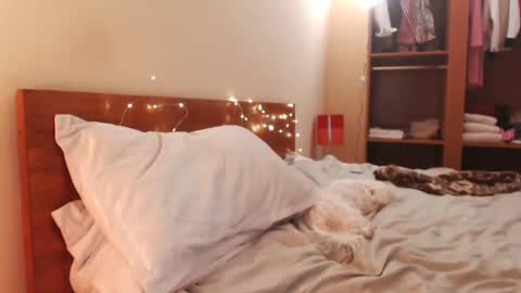 Andra online show from December 2024 06:00:02 AM