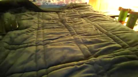 andywan94 online show from January 2025 01:42:02 PM