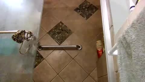 andywan94 online show from February 2025 05:10:01 AM