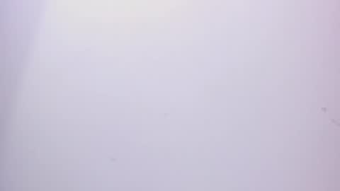 Snapshot of angel_hardy_dl chatting on February 2025 03:17:02 PM angel hardy online show from February 2025 03:17:02 PM