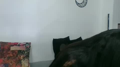  Angela  online show from March 2025 02:32:01 AM