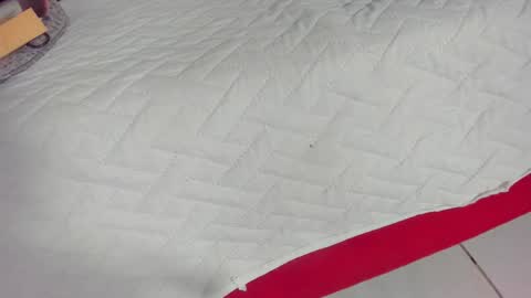 Snapshot of angeldoll_1 chatting on March 2026 08:26:33 AM Angel Doll online show from March 2026 08:26:33 AM