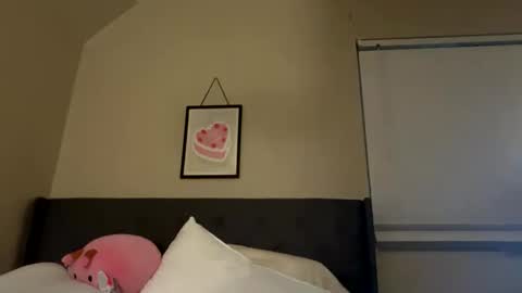 Snapshot of angelgrl444 chatting on February 2025 09:00:02 AM Princess Peach online show from February 2025 09:00:02 AM