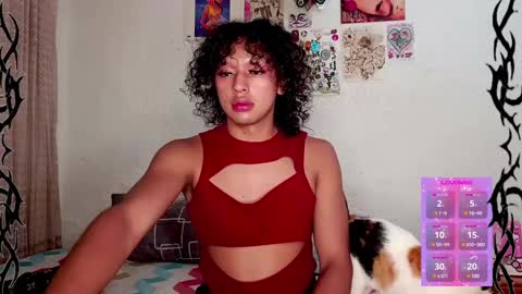   online show from January 2025 02:43:02 AM