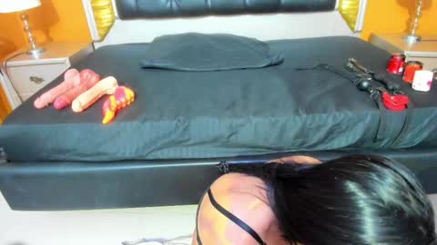 Ani  Time schedule 0600 - 1400 GMT -5 online show from October 2025 11:05:02 AM