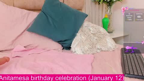 Snapshot of anitamesa chatting on January 2025 08:49:02 AM Anita online show from January 2025 08:49:02 AM