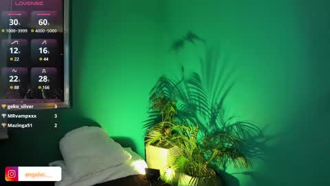 Snapshot of anne_babb chatting on February 2025 11:58:02 PM ANG online show from February 2025 11:58:02 PM