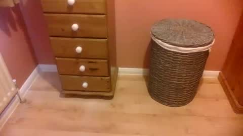 Snapshot of annecharlie chatting on November 2025 08:42:01 AM annecharlie online show from November 2025 08:42:01 AM