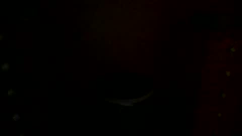 Snapshot of annecharlie chatting on November 2025 07:56:01 AM annecharlie online show from November 2025 07:56:01 AM