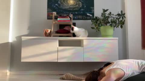 Snapshot of anntics_ chatting on September 2025 03:52:01 AM N  antics online show from September 2025 03:52:01 AM