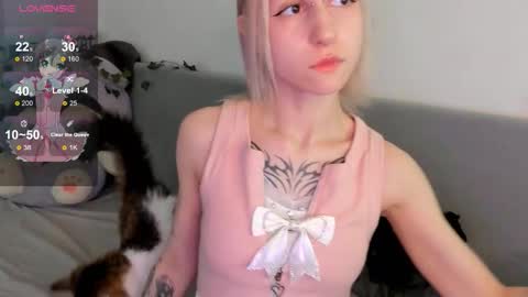 annymeow online show from November 2025 08:36:02 AM