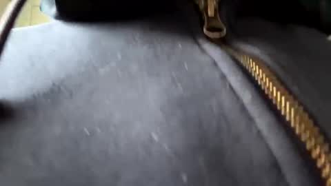 anonomousloser online show from January 2025 02:36:02 PM