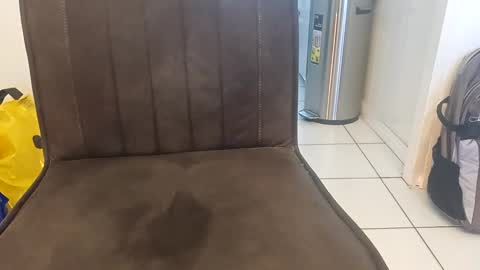 Snapshot of anotherstarfish chatting on February 2025 04:05:01 PM anotherstarfish online show from February 2025 04:05:01 PM