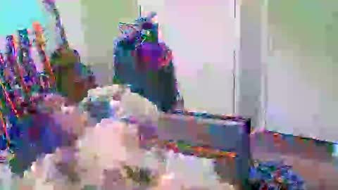 anssyboy696 online show from October 2025 05:22:01 PM