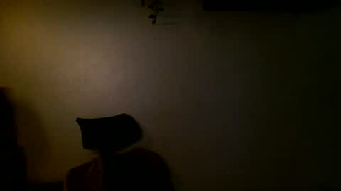 Snapshot of anthonym3 chatting on December 2024 04:31:01 PM Ant online show from December 2024 04:31:01 PM