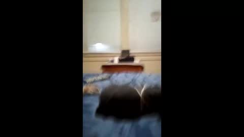 anthonymichael691973668762 online show from March 2026 07:14:02 AM