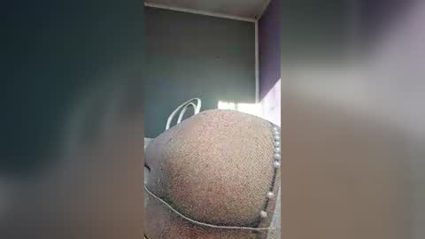 antonijosastin online show from June 2026 04:47:01 AM