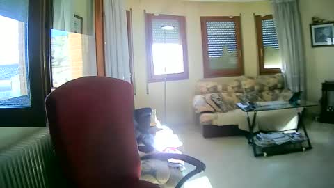 Antonio online show from January 2025 11:19:02 AM