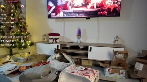 Anyi  Orion and Pyxis online show from January 2025 03:24:02 AM