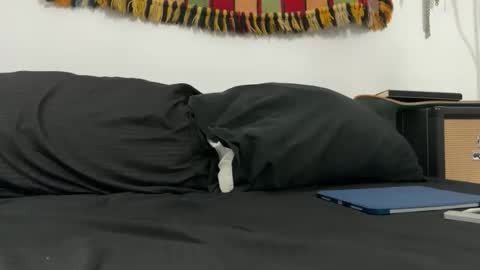 cowboy online show from November 2025 08:08:02 AM