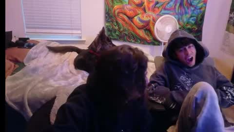 ApacheWithWebcam online show from April 2026 11:57:01 PM