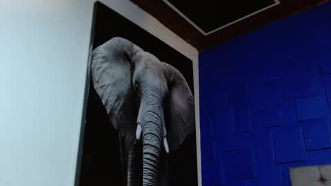 Apolo online show from February 2025 08:48:01 AM