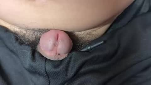 apple2761 online show from December 2025 06:38:02 PM