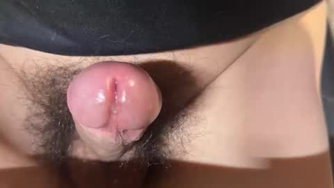 apple2761 online show from April 2026 01:41:01 PM