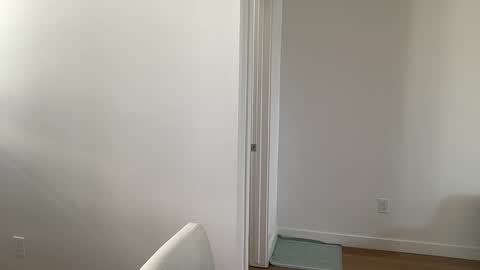 arabianprincess37 online show from March 2026 06:27:02 PM