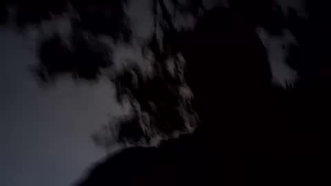 Snapshot of archangel__michael chatting on January 2025 11:34:02 AM ARCHANGEL MICHAEl online show from January 2025 11:34:02 AM