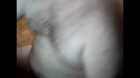 ardnov online show from November 2025 05:46:02 PM