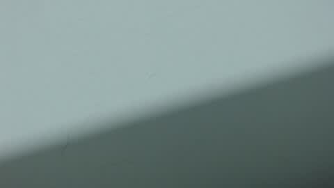 ...Ariana... online show from October 2025 03:29:02 AM