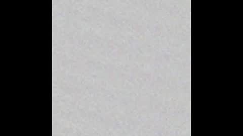 Arianna Collins online show from December 2025 11:49:02 AM