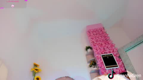 Arianna online show from December 2024 07:20:01 PM